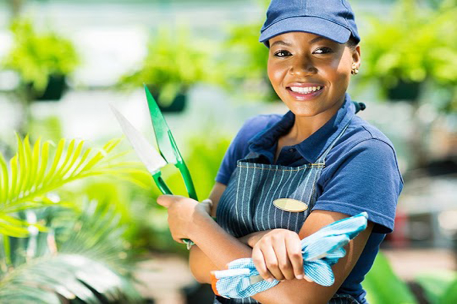 Hedge Trimming: Tips and Techniques for a Beautifully Maintained Garden