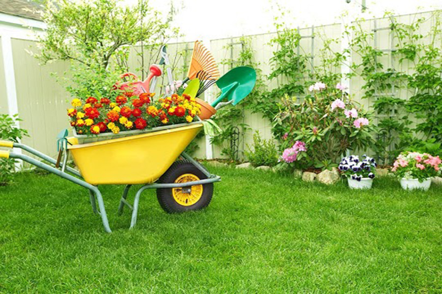 Importance of Gardening Tools – Aquascapes