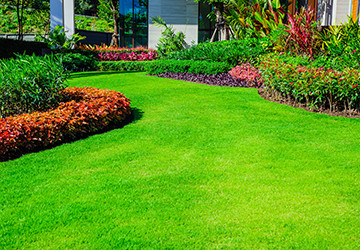 Expert Commercial Grounds Maintenance Services