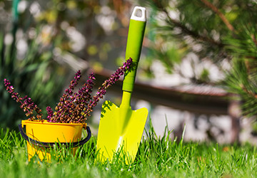 Garden Care and Maintenance