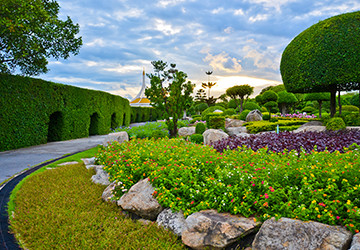 Hedge Design: A Comprehensive Guide to Creating a Beautiful Landscape
