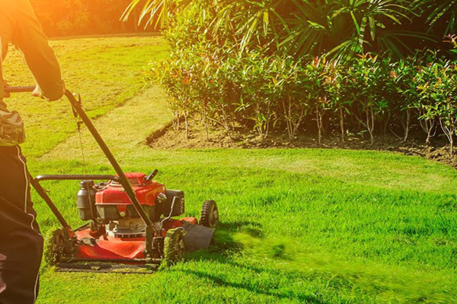 Lawn Maintenance: Tips and Tricks for a Lush and Healthy Yard