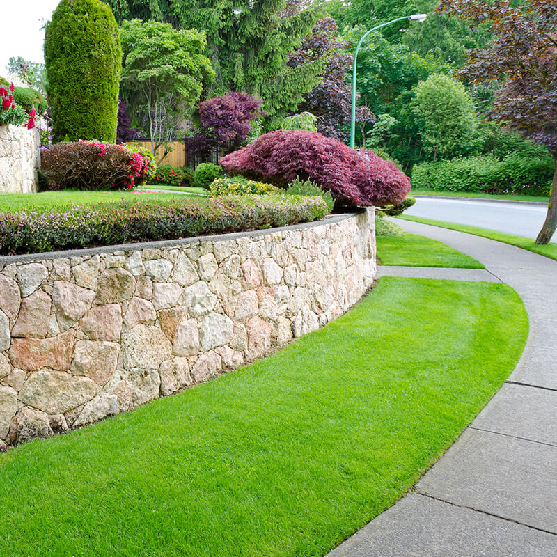 The Importance of Diversity in Landscaping
