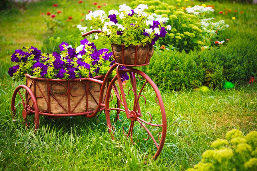 Reliable Professional Gardening Services - Aquascapes