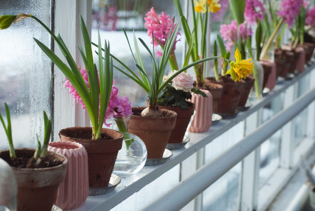 Flower Pots for Sale - Aquascapes