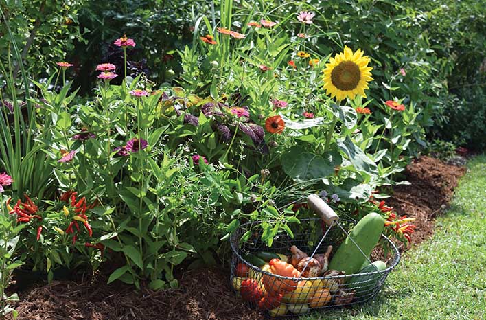 Creating an Edible Landscape: Guide to Transforming Your Garden