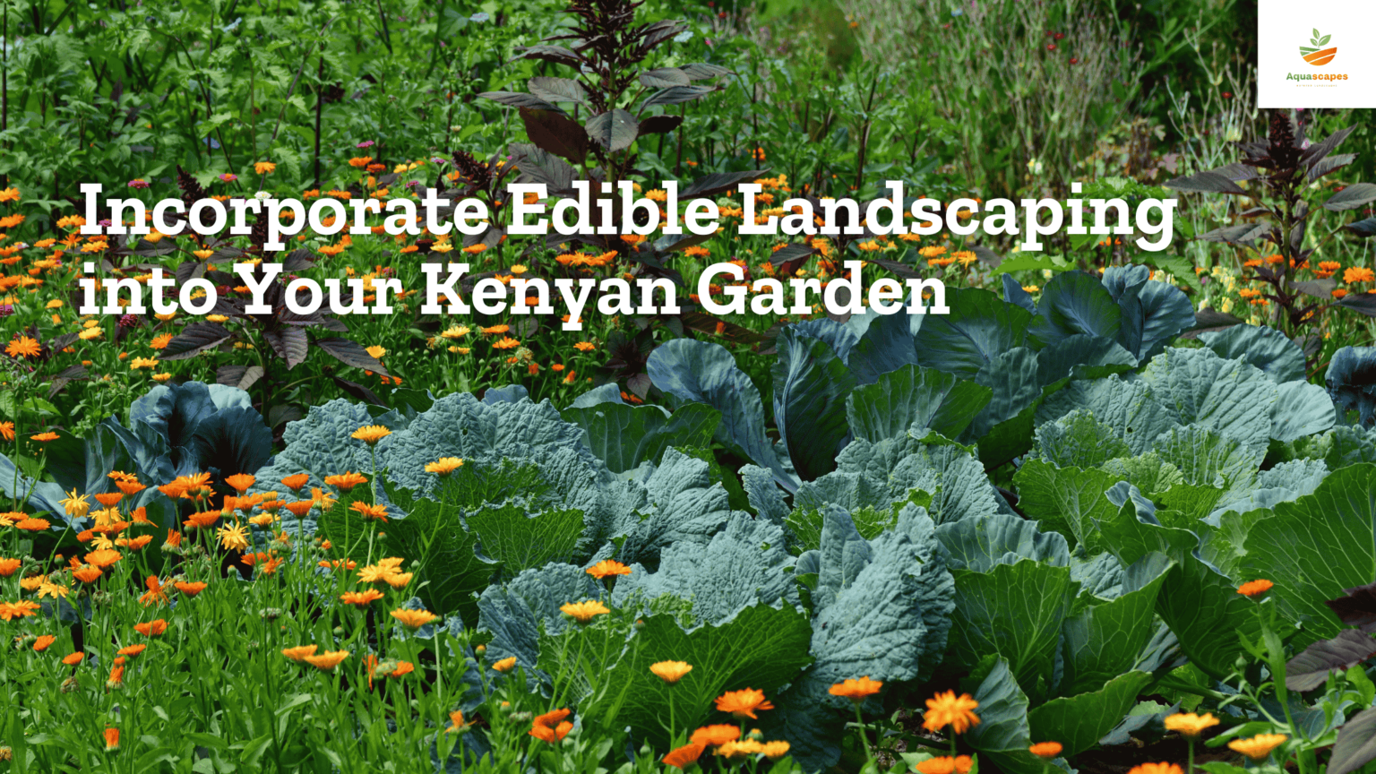 View of How to Incorporate Edible Landscaping into Your Kenyan Garden - The ...
