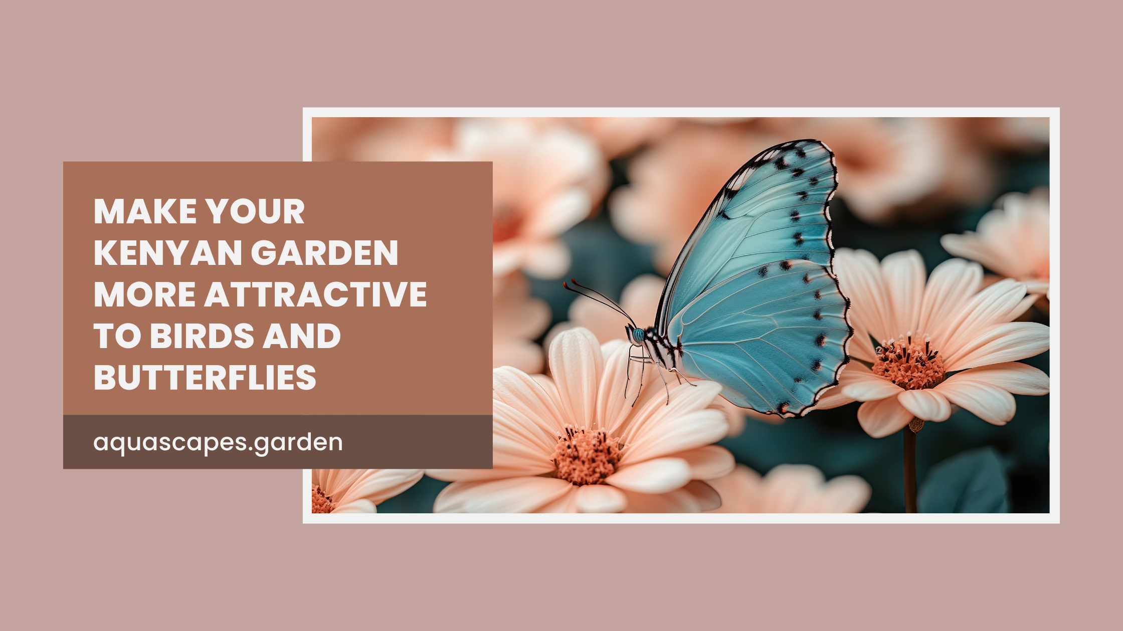 How to Make Your Kenyan Garden More Attractive to Birds and Butterflies